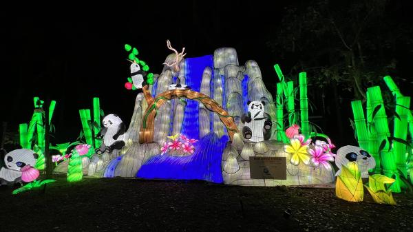 Asian Lantern Festival at Sanford Zoo